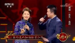 越剧《追鱼·观灯》赵志刚何赛飞经典演唱，好听好看戏曲资源下载下载