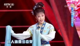 黄梅戏《桃花扇》选段，罗晶晶施睿精彩演绎，黄莺树上声声唱，尽展戏曲魅力下载
