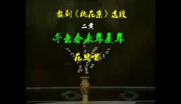 婺剧《桃花案》经典片段在线下载 郑培钦等名家演绎情感纠葛大戏下载