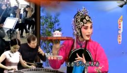 黄梅戏《送香茶》全剧在线观看，茆建琳精彩演绎，经典名家名段不容错过