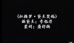 红楼梦·黛玉焚稿