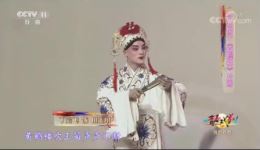 河北梆子《蝴蝶杯》片断mp4视频下载 - 高清戏曲资源 河北梆子《蝴蝶杯》片断mp4视频下载 - 高清戏曲资源