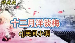 民间小调《十二月洋谈梅》戏曲视频mp4下载 - 正版高清戏曲资源 民间小调《十二月洋谈梅》戏曲视频mp4下载 - 正版高清戏曲资源