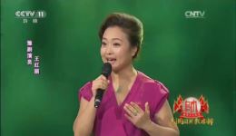 豫剧《朝阳沟》经典选段王红丽刘大成倾情演唱，不容错过的戏曲盛宴下载