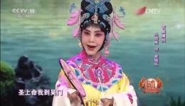 孙丽英京剧《谢瑶环》选段下载，韵味十足经典演绎下载