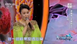 黄梅戏《牛郎织女》选段到底人间欢乐多，孙娟经典演唱，感受传统戏曲魅力下载