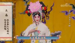 京剧《坐宫》片段在线观看，王茜裘识精彩演绎，经典唱腔不容错过