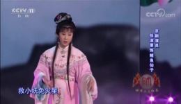 越剧《追鱼》经典选段下载｜张淑景挂帅演绎，韵味十足百听不厌下载