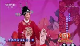 黄梅戏《女驸马》选段方晓莉演唱，韵味十足，经典戏曲在线欣赏下载