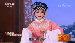 女驸马