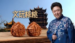 《文玩核桃》郭德纲于谦相声视频mp4下载 - 正版高清相声资源下载