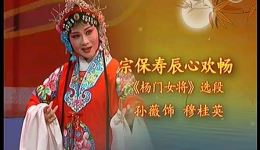 锡剧《杨门女将·宗保寿辰心欢畅》孙薇演唱选段mp4下载，经典戏曲资源下载