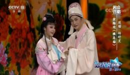 黄梅戏《桃花扇》选段周珊杨舒星演唱，黄莺树上声声唱，好听好看戏曲资源下载下载