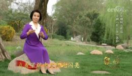 红云岗