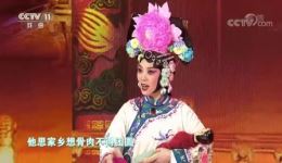 京剧《四郎探母》选段在线观看 吴琼宋小川经典演绎 高清戏曲资源下载下载