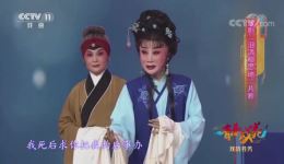 经典豫剧《泪洒相思地》片段在线下载，李金枝演绎催泪爱情故事下载