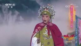 杨门女将