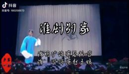 淮剧《别家》戏曲视频mp4下载 - 经典淮剧选段在线观看 淮剧《别家》戏曲视频mp4下载 - 经典淮剧选段在线观看