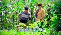 引狼入室
