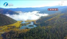 梨园春2021新年戏曲晚会名家汇聚，演绎戏曲盛宴，畅享国粹风采