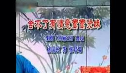 豫剧《西厢记》选段杨国民演唱高清戏曲视频mp4下载，经典名段在线获取
