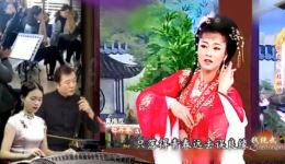 黄梅戏《牡丹亭》何云周珊演唱，名家名段戏曲视频mp4下载下载