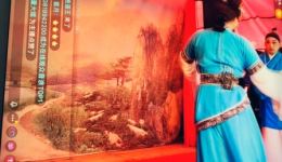 扬剧《乌金记》上集高清资源下载 - 扬州市扬子江王俊新二团经典演出下载