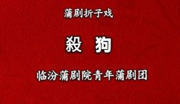 蒲剧《杀狗》全剧下载-山西临汾青年蒲剧团主演-高清mp4资源下载