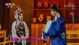 京剧《游龙戏凤》选段下载，杨少彭蓝恭欣名角演绎，好听好看戏曲资源下载
