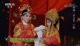 曾小敏刘建科粤剧《帝女花·香夭》经典片段，高清正版戏曲资源下载