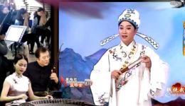 黄梅戏《蓝桥会》选段欣赏 马自俊经典演唱 名家名段在线观赏