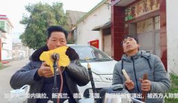 唢呐老艺人演奏河南豫剧经典片段，地道老腔老调尽显戏曲韵味