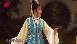 玉蜻蜓 庵堂认母