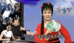黄梅戏《牛郎织女》陈丞曹祝来主演，经典民间爱情传说改编，高清戏曲资源下载下载