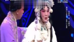 保定老调《秦亭之乱》选段下载 刘琳静精彩演绎 走进大戏台20210117资源下载