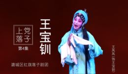 上党落子《王宝钏》第4集探窑，王凤凤精彩演绎，经典戏曲片段在线下载！