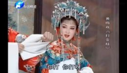黄梅戏《打金枝》选段吴亚玲蒋建国名家演唱，经典戏曲视听盛宴下载