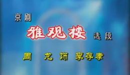 雅观楼
