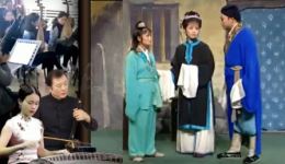 安徽庐剧《借种》高清资源下载｜伦理大戏完整呈现，主演刘长芬精彩演绎下载