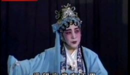 海丰县白字戏《珍珠记·历路寻夫》王丽云主演，经典寻夫大戏在线下载下载