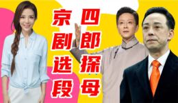 京剧经典《四郎探母》王珮瑜李胜素于魁智主演，朱迅饰铁镜公主，高清资源下载下载