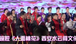 陕西碗碗腔经典《人面桃花》在线下载,浪漫爱情故事戏曲资源 陕西碗碗腔经典《人面桃花》在线下载,浪漫爱情故事戏曲资源