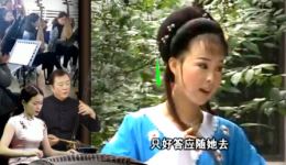 墙外小桃花