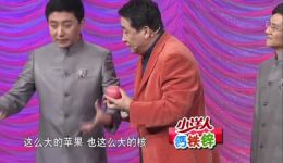 2011年CCTV春晚姜昆戴志诚相声《专家指导》下载，一个苹果引发专家争执精彩呈现下载
