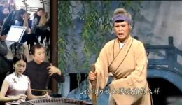 安徽庐剧《借种》刘长芬主演，伦理悲剧与家族命运深度演绎下载