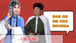摘石榴