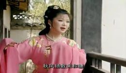 黄梅戏《梁祝·山伯访友》吴亚玲蒋建国演唱，经典戏曲资源下载下载