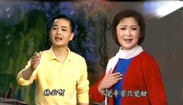 江姐柳暗花明