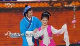 黄梅戏《天仙配》《牛郎织女》选段下载 - 蒋建国吴亚玲经典演唱下载