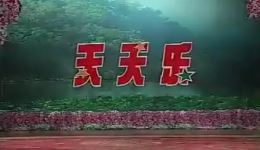 东北二人转《十三不亲》高清mp4视频下载，田老板小凤仙等多版本精选下载